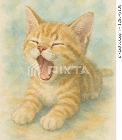 打呵欠的貓 128645139