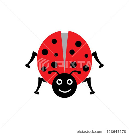 Ladybug. Insect ladybug 128645278