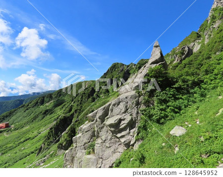 Seal Rock 128645952