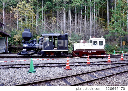 A view of the Akasawa Forest Railway locomotive in Akasawa Natural Recreational Forest, Agematsu Town, Kiso District, Nagano Prefecture 128646470