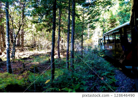 Akasawa Forest Railway train running through the forest in Akasawa Natural Recreation Forest, Agematsu Town, Kiso District, Nagano Prefecture Akasawa Forest Railway train running through the forest in Akasawa Natural Recreation Forest, Agematsu Town, Kiso District, Nagano Prefecture 128646490