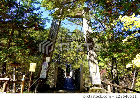 長野縣木曾郡上松町赤澤自然休養林赤澤大橋吊橋景觀 128646511