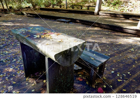 Autumn leaves falling on a wooden bench on the path to the Akasawa Natural Recreation Forest in Agematsu Town, Kiso District, Nagano Prefecture 128646519