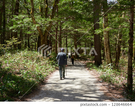 Male and female tourists hiking on a forest trail in Kamikochi, a tourist attraction in early summer Male and female tourists hiking on a forest trail in Kamikochi, a tourist attraction in early summer 128646664