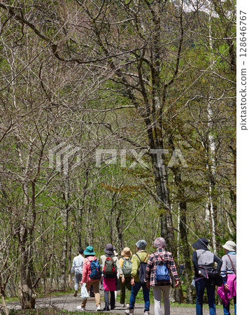 Senior women hiking on a forest trail in Kamikochi, a tourist attraction in early summer Senior women hiking on a forest trail in Kamikochi, a tourist attraction in early summer 128646767