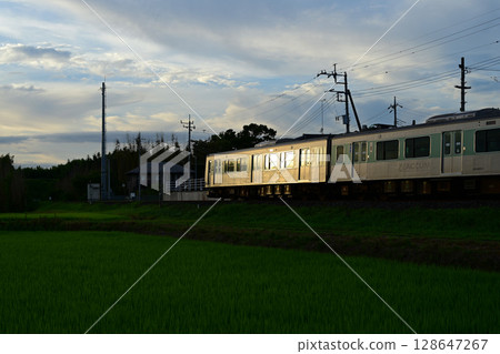 Accumulation train on the Karasuyama Line shining in the sunset Accumulation train on the Karasuyama Line shining in the sunset 128647267