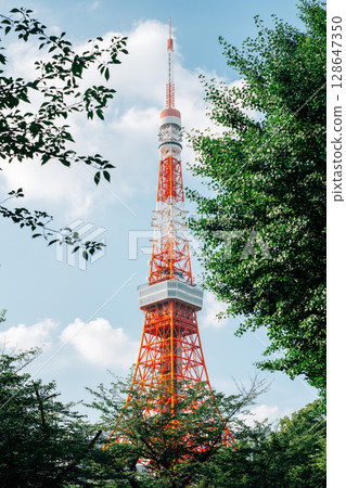 Tokyo Tower from Shiba Park in Tokyo, Japan Tokyo Tower from Shiba Park in Tokyo, Japan 128647350