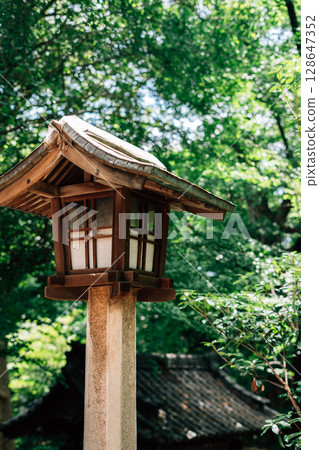 Japanese traditional wooden lantern with green forest Japanese traditional wooden lantern with green forest 128647352