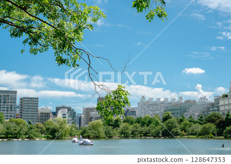 Summer of Ueno Park Shinobazu Pond in Tokyo, Japan 128647353