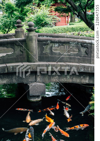 Asakusa Senso-ji Temple garden pond in Tokyo, Japan Asakusa Senso-ji Temple garden pond in Tokyo, Japan 128647355