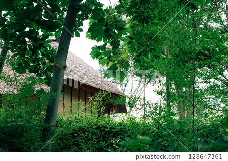 Summer of Akabane Nature Observation Park in Tokyo, Japan Summer of Akabane Nature Observation Park in Tokyo, Japan 128647361