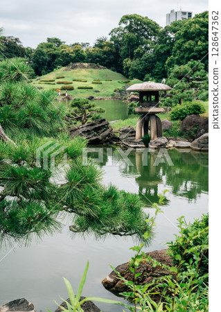 Summer of Kiyosumi Garden in Tokyo, Japan Summer of Kiyosumi Garden in Tokyo, Japan 128647362
