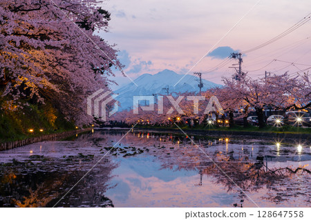 Hirosaki Park, Shimoshirogane-cho, Hirosaki City, Aomori Prefecture: Flower rafts floating on the outer moat of Hirosaki Castle, Somei-Yoshino cherry trees in full bloom, and the evening view of Mt. Iwaki Hirosaki Park, Shimoshirogane-cho, Hirosaki City, Aomori Prefecture: Flower rafts floating on the outer moat of Hirosaki Castle, Somei-Yoshino cherry trees in full bloom, and the evening view of Mt. Iwaki 128647558