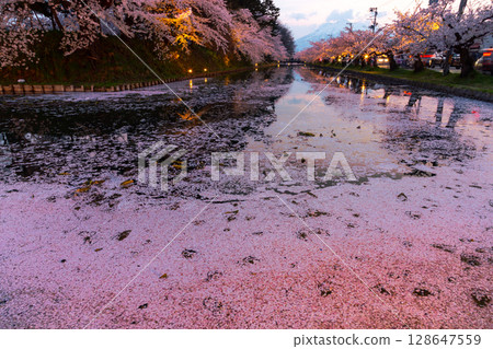 青森縣弘前市下白金町弘前公園:弘前城外護城河上的花筏、盛開的染井吉野櫻、岩木山的夜景 青森縣弘前市下白金町弘前公園:弘前城外護城河上的花筏、盛開的染井吉野櫻、岩木山的夜景 128647559