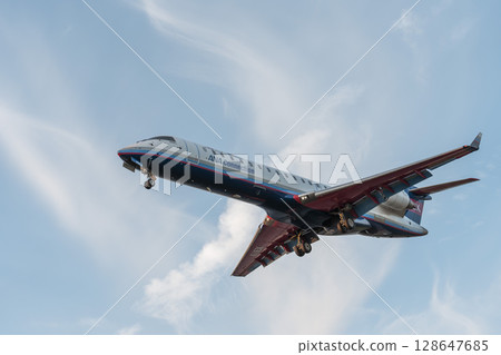Sendai Airport at dusk, airplane landing, Natori City, Miyagi Prefecture 128647685
