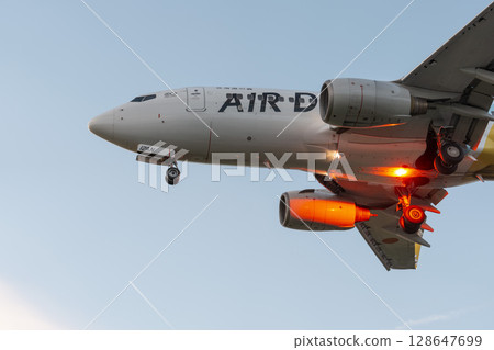Sendai Airport at dusk, airplane landing, Natori City, Miyagi Prefecture 128647699