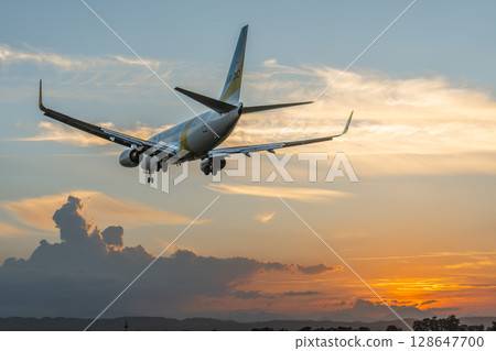 Sendai Airport at dusk, airplane landing, Natori City, Miyagi Prefecture 128647700