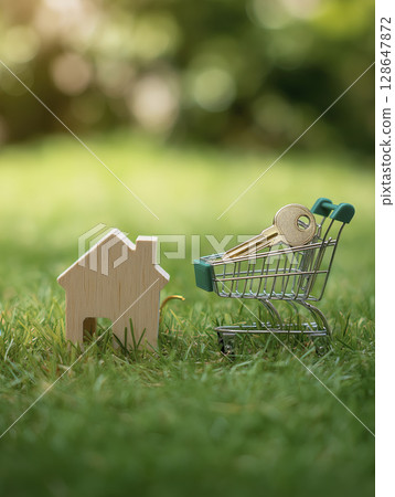 Small wooden house with green shopping cart and key, symbolizing real estate or home ownership, placed lush green grass with blurred natural background. scene evokes themes of property, housing 128647872