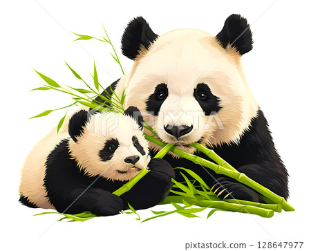 熊貓父母和孩子 128647977