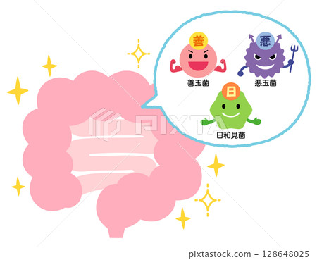 Intestinal environment: Good bacteria, bad bacteria, opportunistic bacteria, healthy intestines Intestinal environment: Good bacteria, bad bacteria, opportunistic bacteria, healthy intestines 128648025