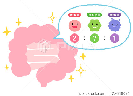 Intestinal environment: Good bacteria, bad bacteria, opportunistic bacteria, healthy intestines Intestinal environment: Good bacteria, bad bacteria, opportunistic bacteria, healthy intestines 128648055