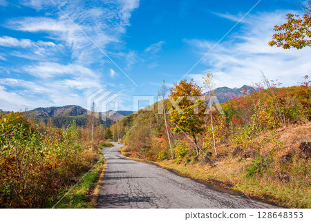 [Autumn in Norikura Highlands] Autumn leaves around Ichinose Garden 128648353
