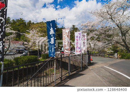 Cherry blossoms at Oguni Shrine, Ichinomiya, Totomi Province, Morimachi (Shizuoka Prefecture) Cherry blossoms at Oguni Shrine, Ichinomiya, Totomi Province, Morimachi (Shizuoka Prefecture) 128648400
