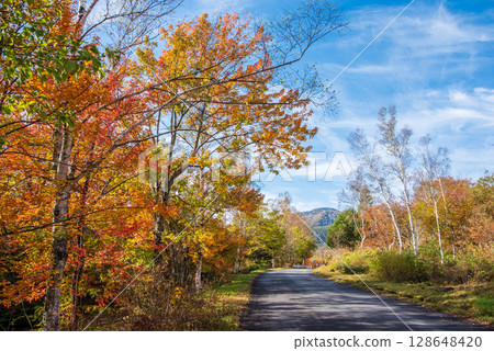 [Autumn in Norikura Highlands] Autumn leaves around Ichinose Garden 128648420