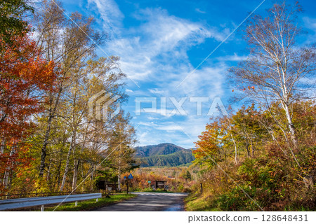 [Autumn in Norikura Highlands] Autumn leaves around Ichinose Garden 128648431