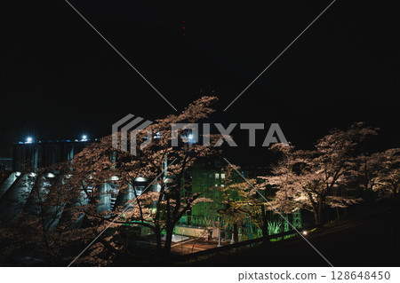 Illuminated Akiba Dam and cherry blossoms at night in Hamamatsu City (Shizuoka Prefecture) 128648450