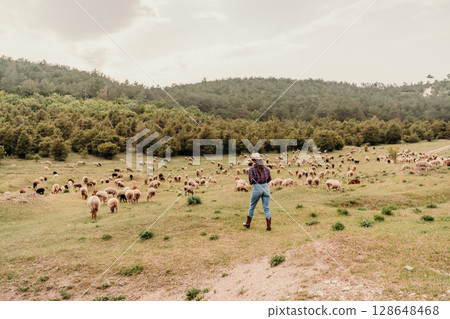 A man in a cowboy hat stands in a field with a herd of sheep A man in a cowboy hat stands in a field with a herd of sheep 128648468