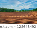 Windbreak forests and fields in the Tokachi region 128648492