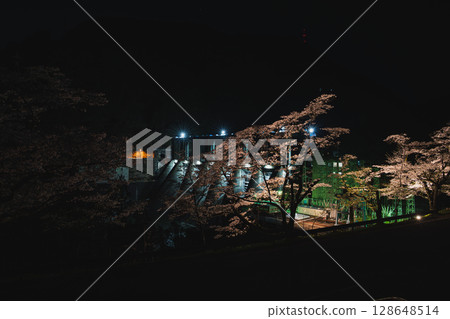 濱松市(靜岡縣)的秋葉水壩燈光與夜晚的櫻花 濱松市(靜岡縣)的秋葉水壩燈光與夜晚的櫻花 128648514