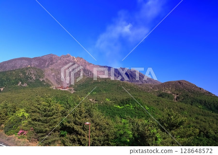 [Kagoshima Prefecture] Sakurajima crater as seen from Yunohira Observatory on a clear day 128648572