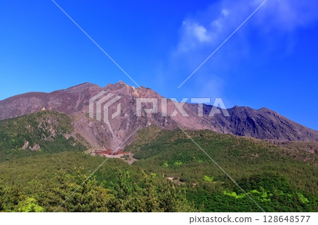 【鹿兒島縣】晴天時從湯之平展望台看到的櫻島火山口 【鹿兒島縣】晴天時從湯之平展望台看到的櫻島火山口 128648577