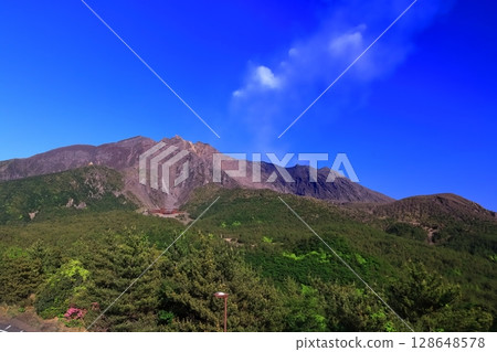[Kagoshima Prefecture] Sakurajima crater as seen from Yunohira Observatory on a clear day 128648578
