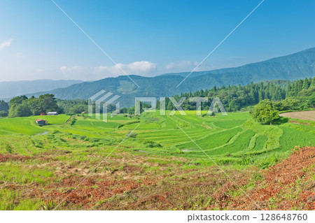 [Bessiya梯田]兵庫縣養父市庫薩德 128648760