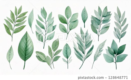 Watercolor leaves green plants nature decoration ornament decoration background illustration material AI 128648771