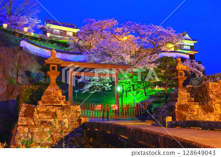 春天的臼杵城跡(燈火通明) 春天的臼杵城跡(燈火通明) 128649043
