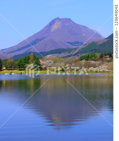 Lake Shidaka in spring (Mount Yufu, Beppu city, vertical composition) 128649048