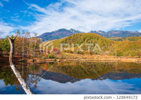 [Autumn in Norikura Highlands] Autumn leaves at "Maime Pond" 128649172