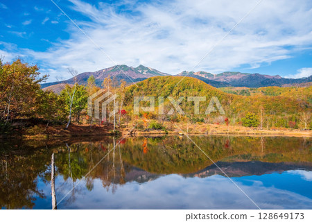 [Autumn in Norikura Highlands] Autumn leaves at "Maime Pond" 128649173