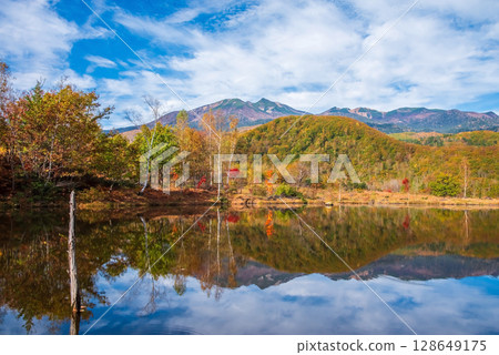 【乘鞍高原的秋天】「舞目池」的紅葉 128649175