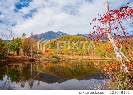 [Autumn in Norikura Highlands] Autumn leaves at "Maime Pond" 128649191
