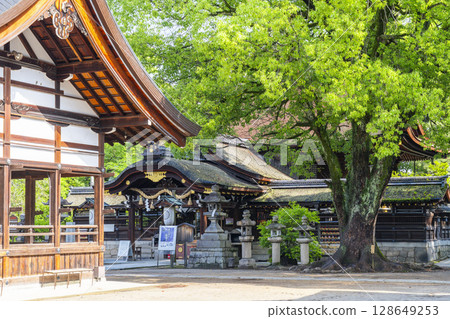 Summer in Kyoto: Fujinomori Shrine, main hall and worship hall Summer in Kyoto: Fujinomori Shrine, main hall and worship hall 128649253