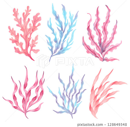 Set of colorful seaweeds. Watercolor illustration. Oceanic botanical underwater algae. Hand drawn isolated art. Natural form of marine flora. Clip art of plants for travel, tourism, children's design 128649348