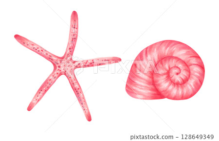 Starfish and snail shell. Watercolor and marker illustration. Hand drawn isolated image. Wild underwater life. Shell for menu design, children's room, tourism, guidebook. Exotic ocean fauna Starfish and snail shell. Watercolor and marker illustration. Hand drawn isolated image. Wild underwater life. Shell for menu design, children's room, tourism, guidebook. Exotic ocean fauna 128649349