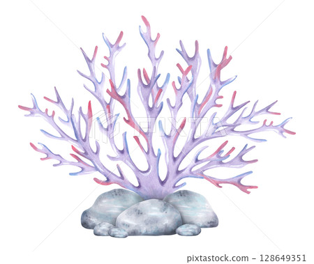 Branched coral with sea stones. Watercolor and marker illustrations. Composition with underwater animal and pebbles. Hand-painted isolated art. Suitable for of marine themes and design, guidebooks 128649351