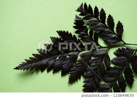 leaves on green background leaves on green background 128649630