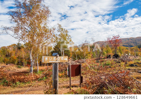 [Autumn in Norikura Highlands] Around the entrance to Ichinose Park's "Maime Pond" 128649661